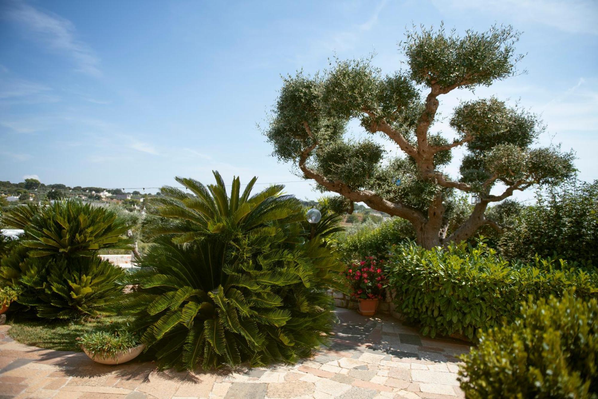 Holiday Home Cosimo โลโกโรตอนโด ภายนอก รูปภาพ