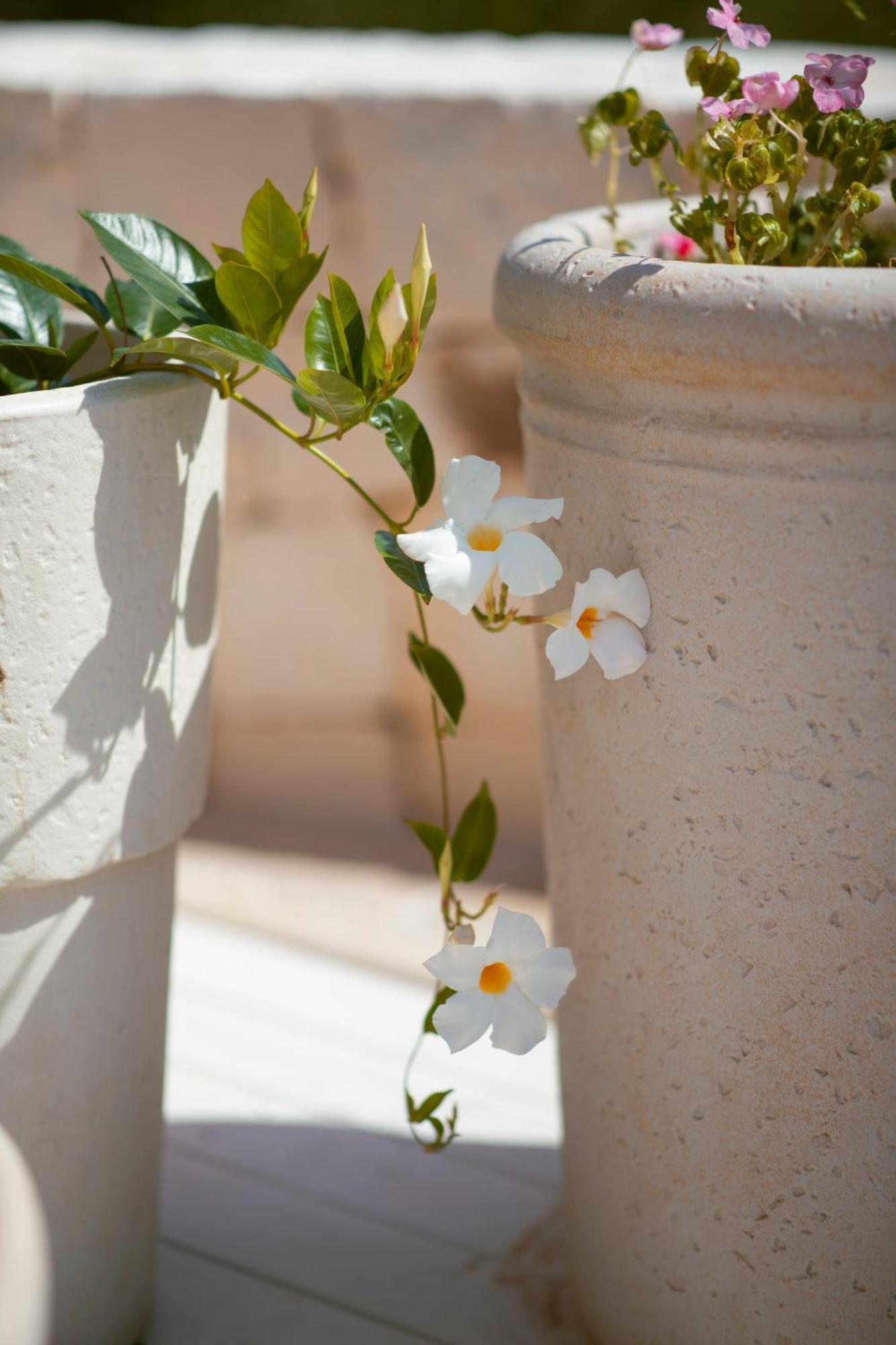 Holiday Home Cosimo โลโกโรตอนโด ภายนอก รูปภาพ